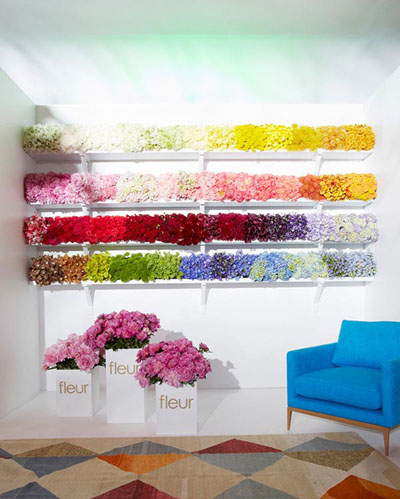 ������ ����� � ������������ �������� ��������